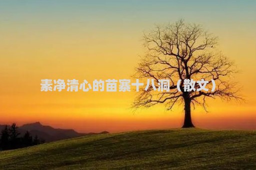 素净清心的苗寨十八洞（散文）