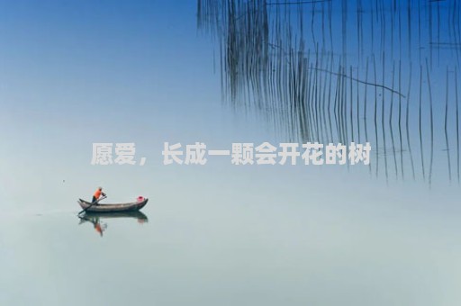 愿爱，长成一颗会开花的树