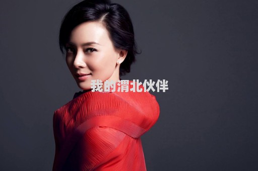 我的渭北伙伴