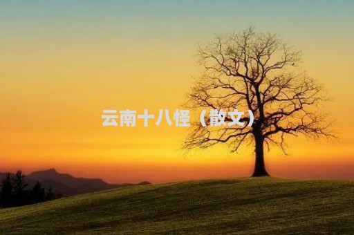 云南十八怪（散文）