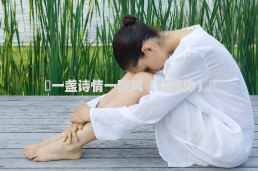 ​一盏诗情一院风（轱辘体）​