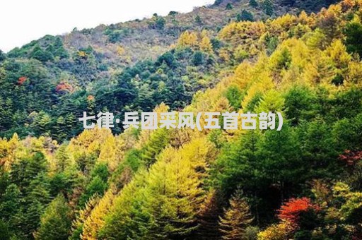 七律·兵团采风(五首古韵)