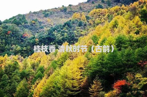 桂枝香 清秋时节（古韵）